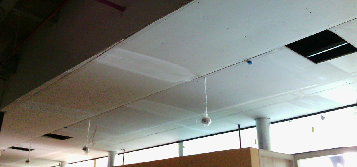 supervision_obra_cielos_jardin_la_arboleda_005